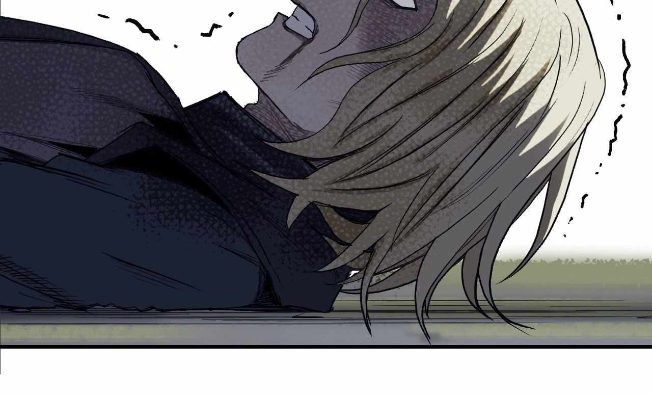 231