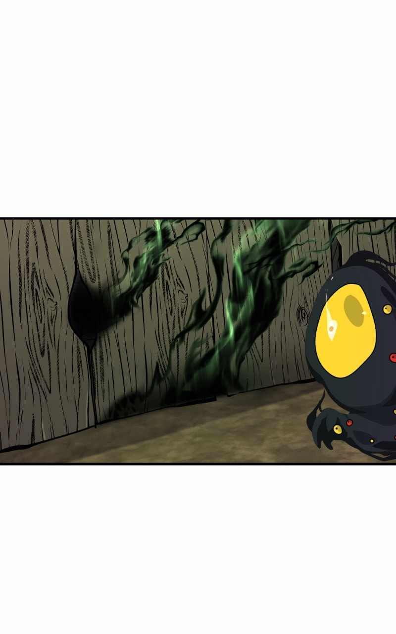81
