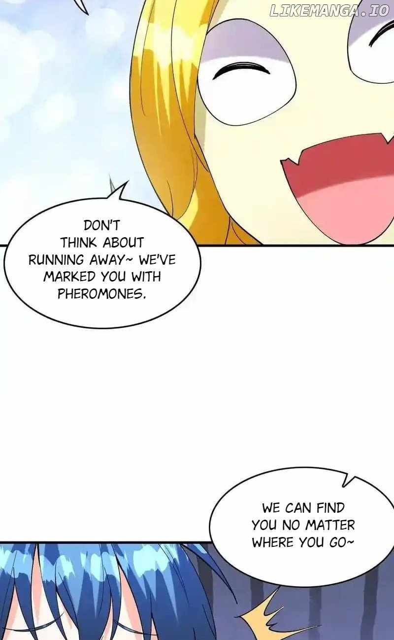 41