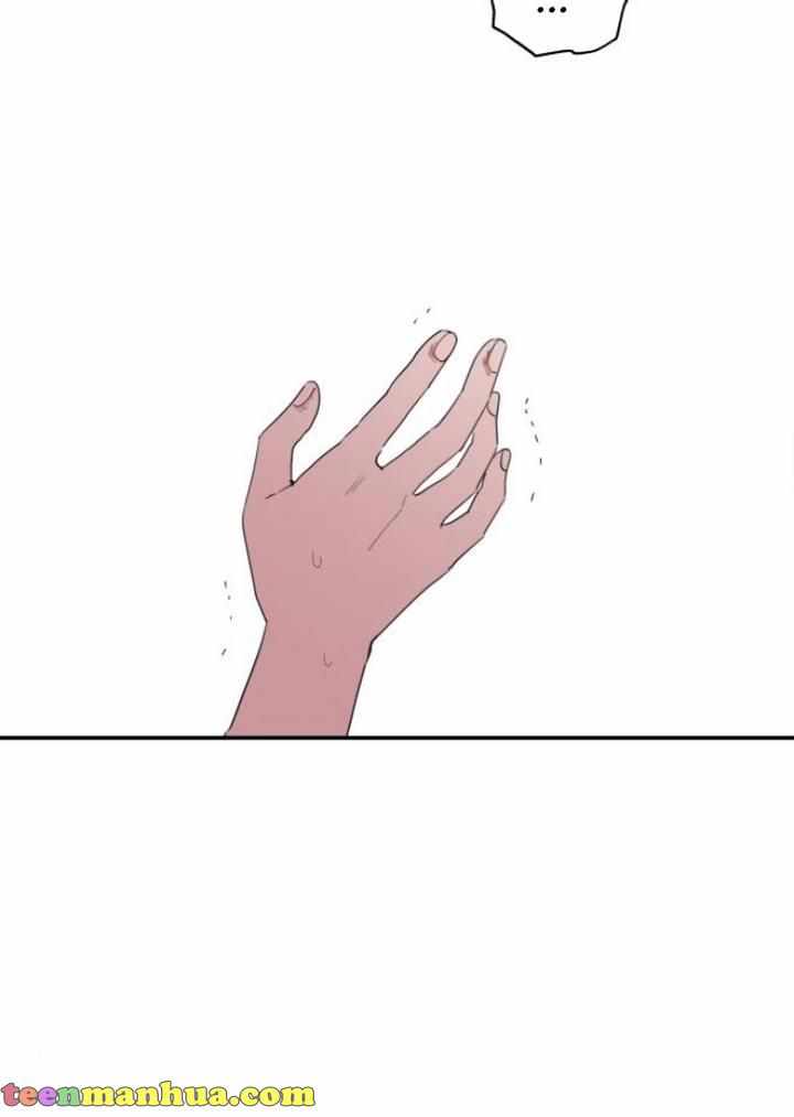 80