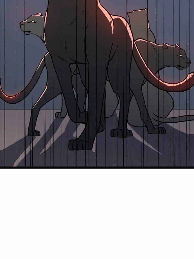 80