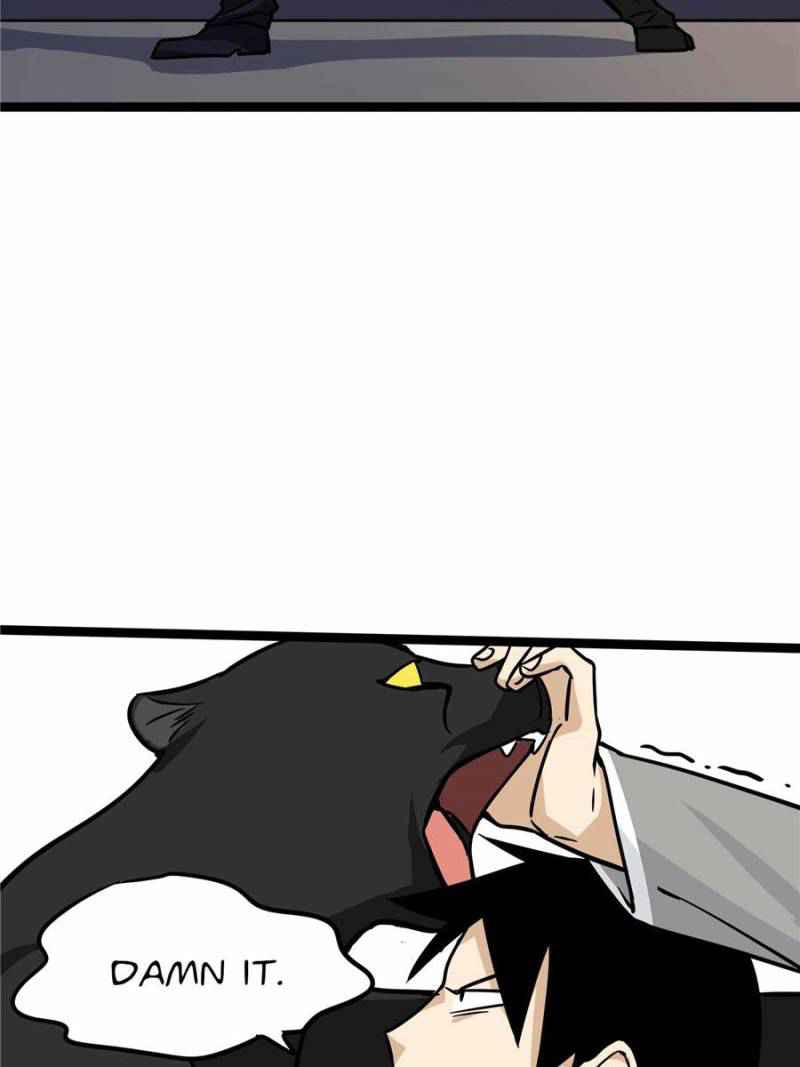 66