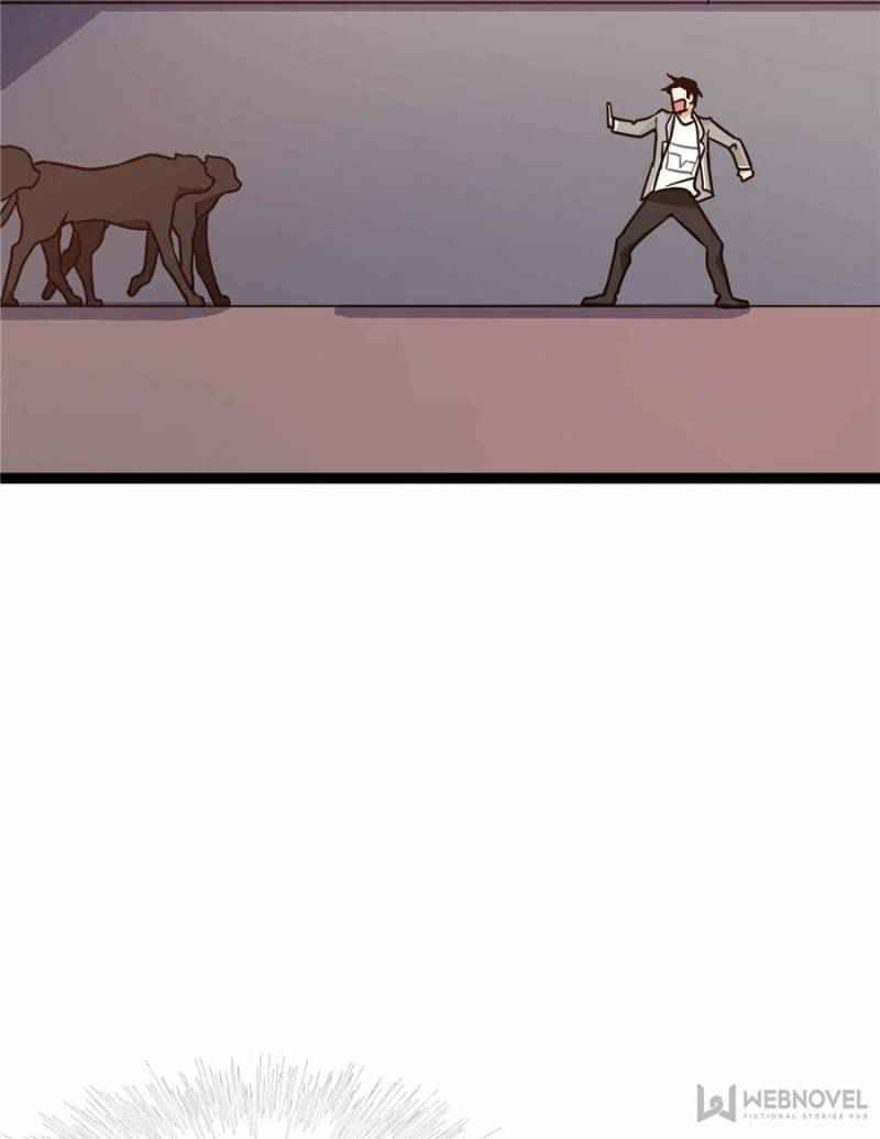 41