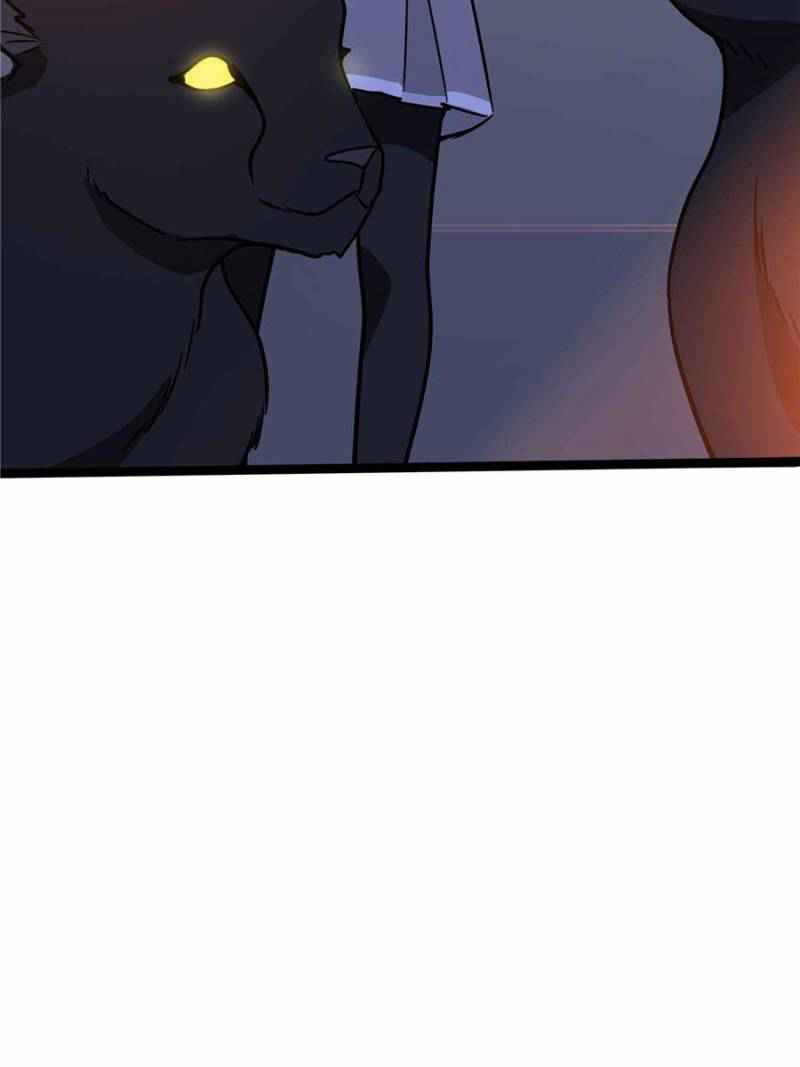 81