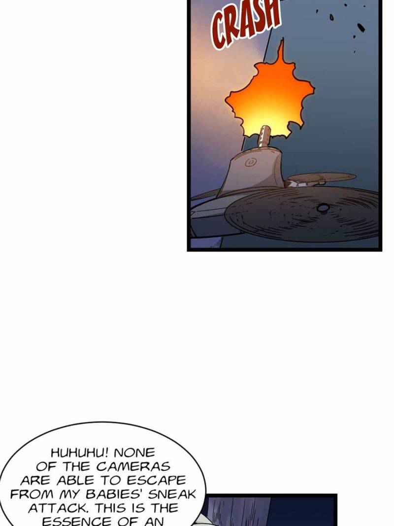 43