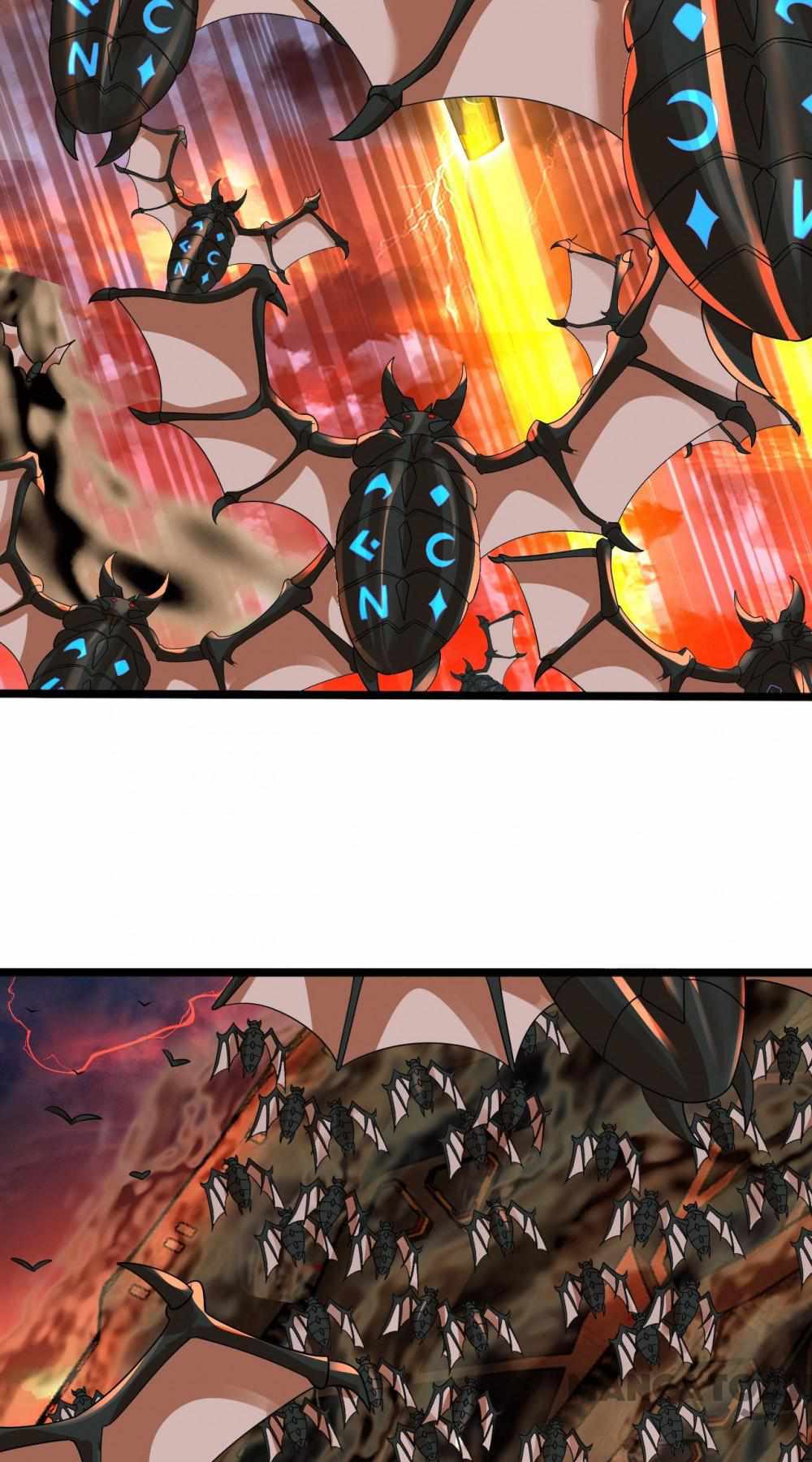 43