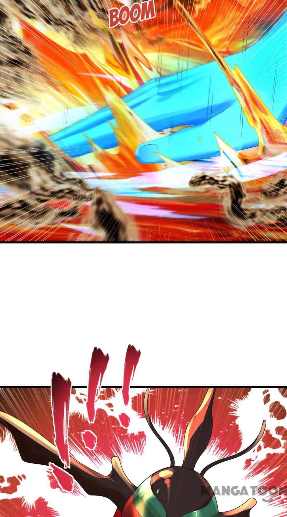 81
