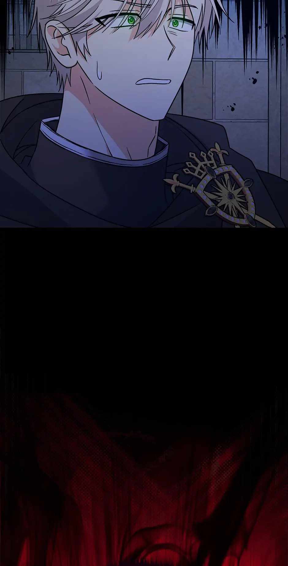 41