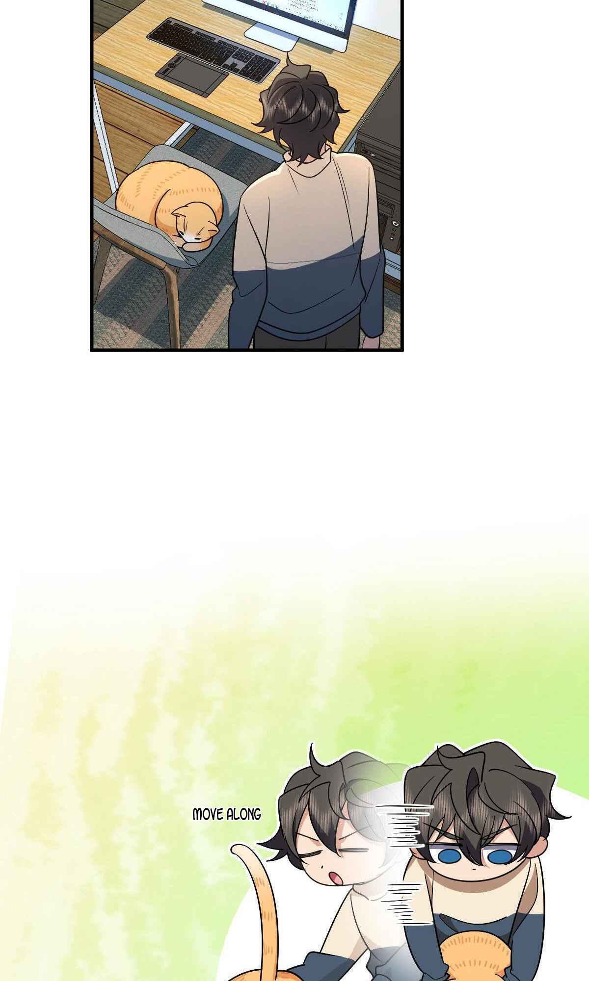 53