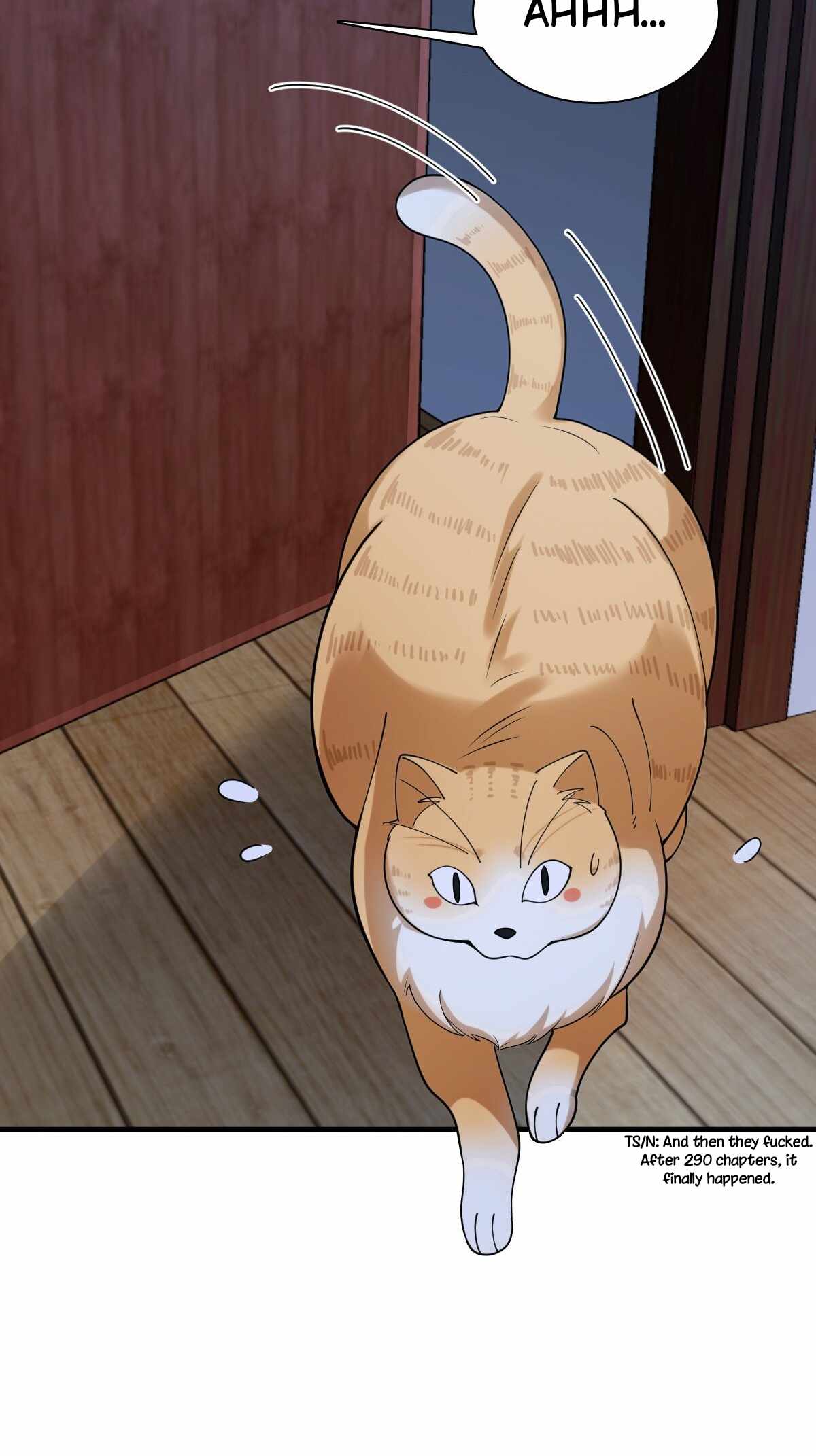 61