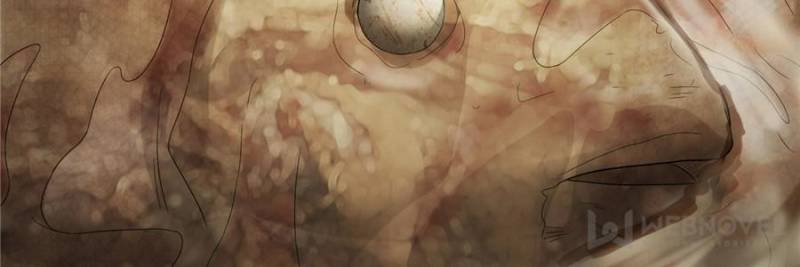 59