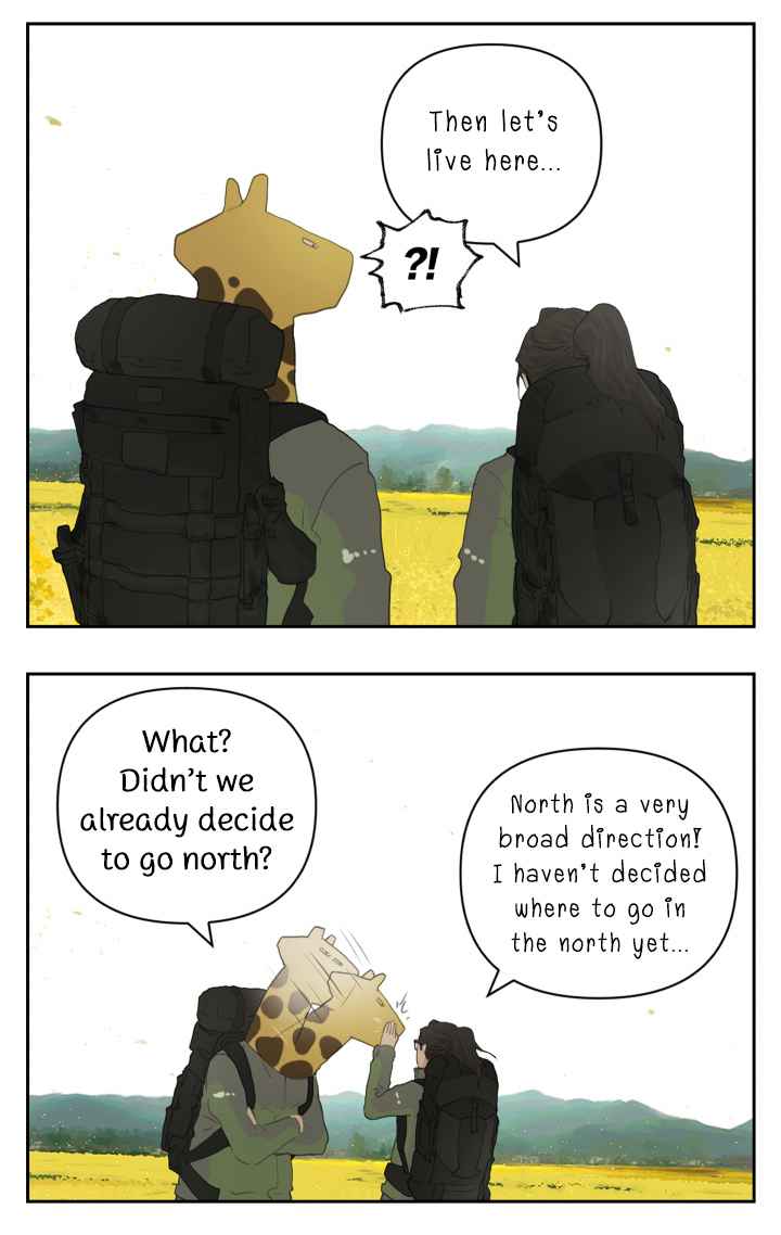 44