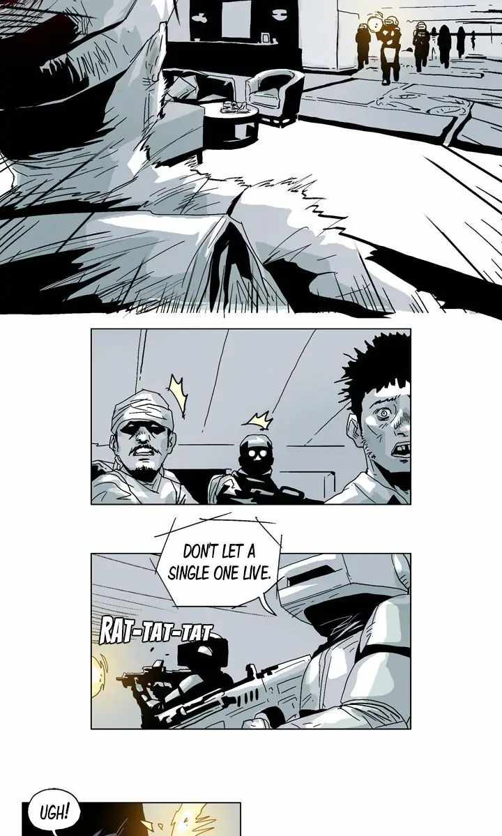 33
