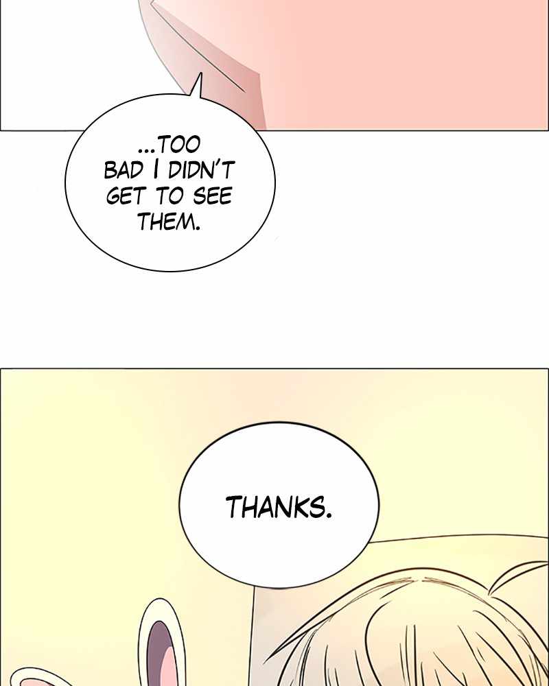 68