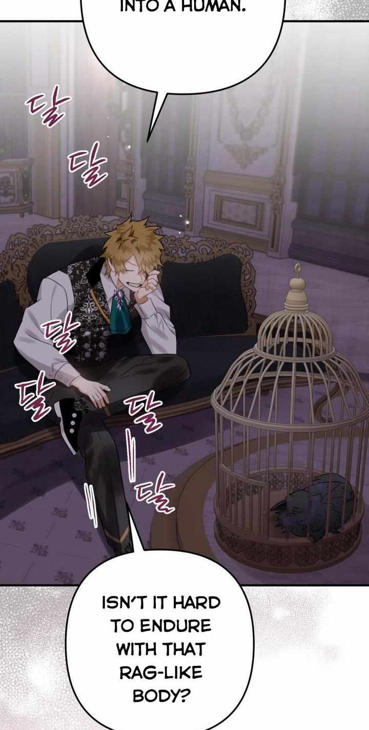 68