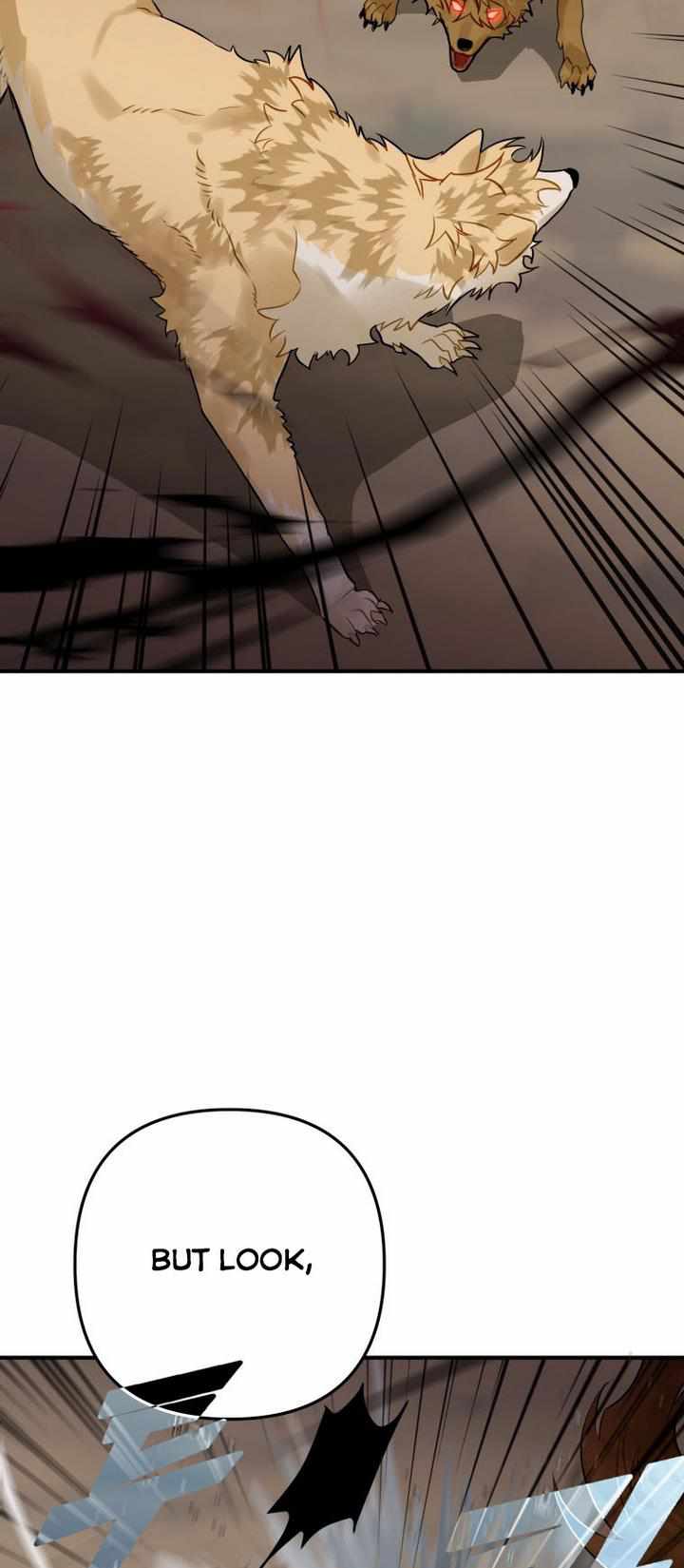 55