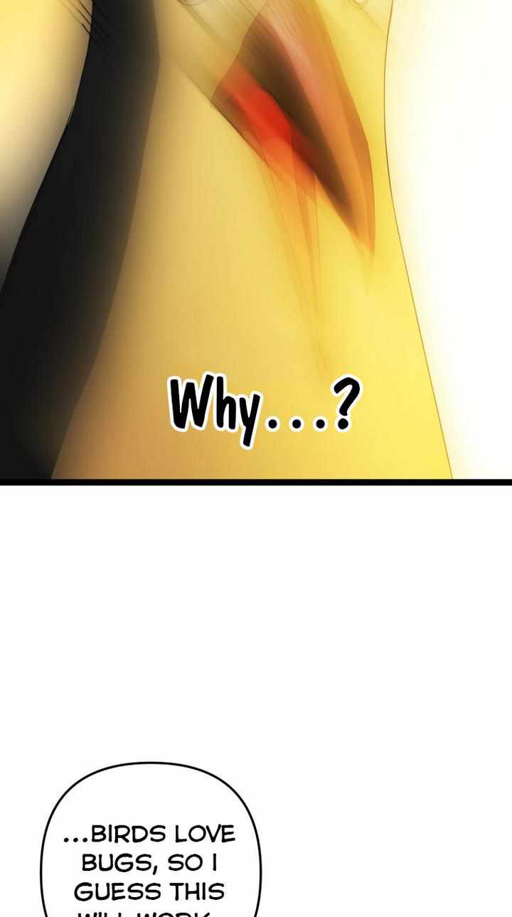 62