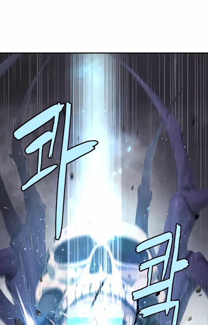 81