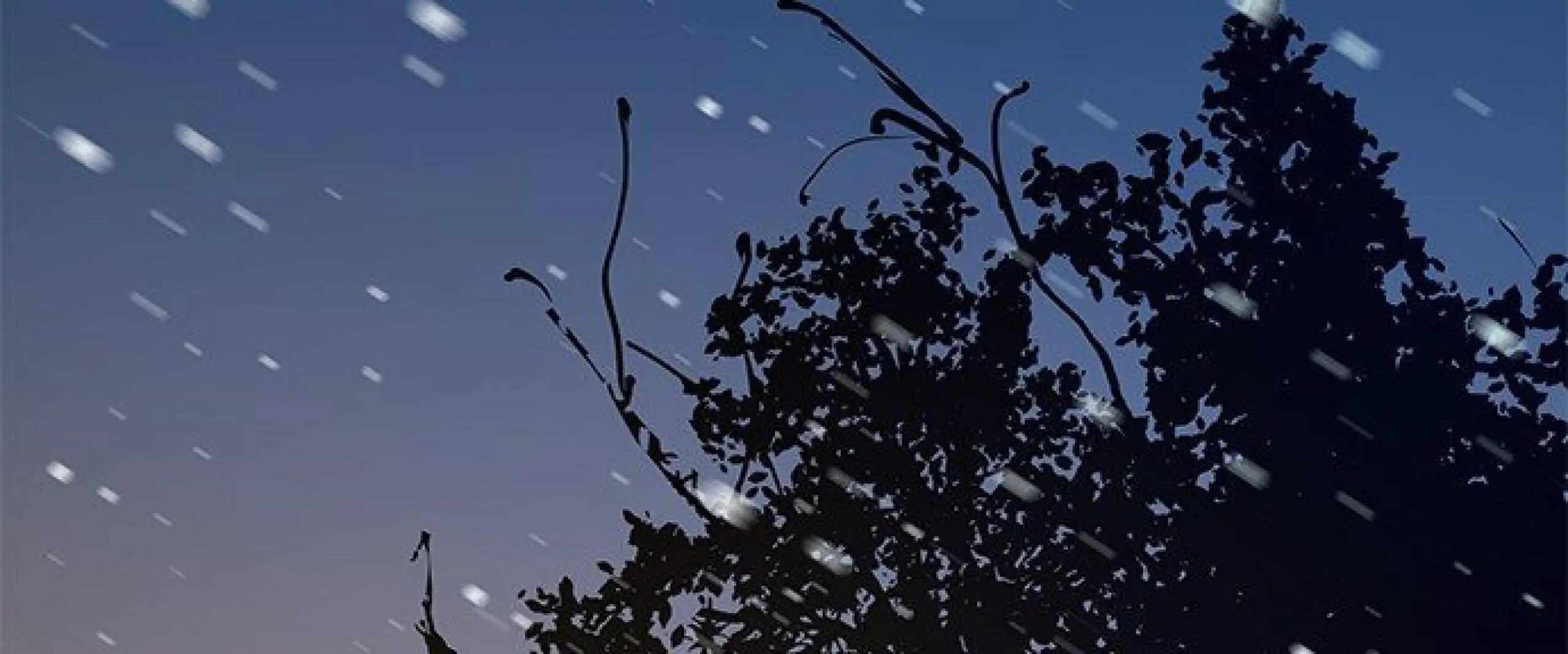 110