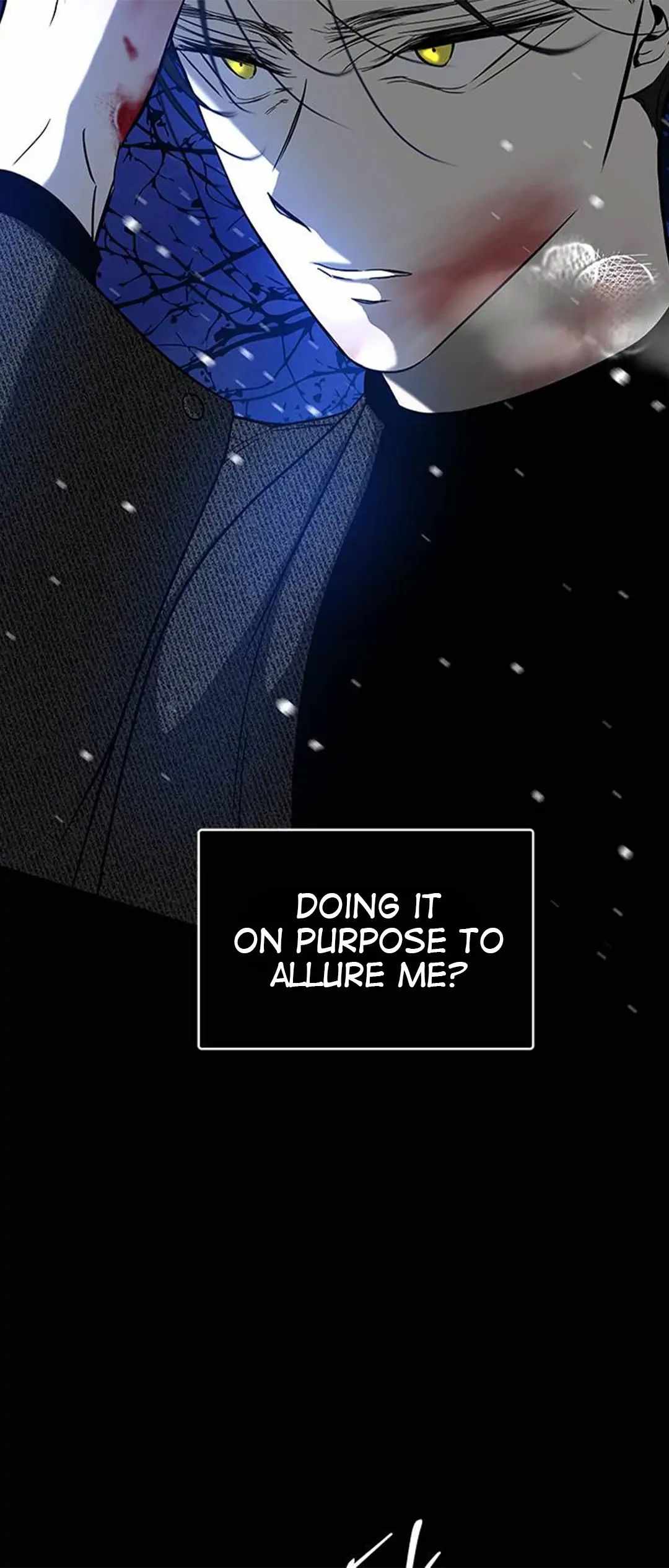 81