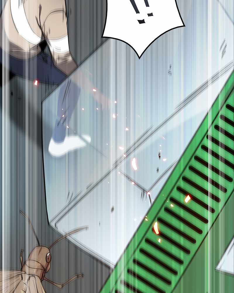 65