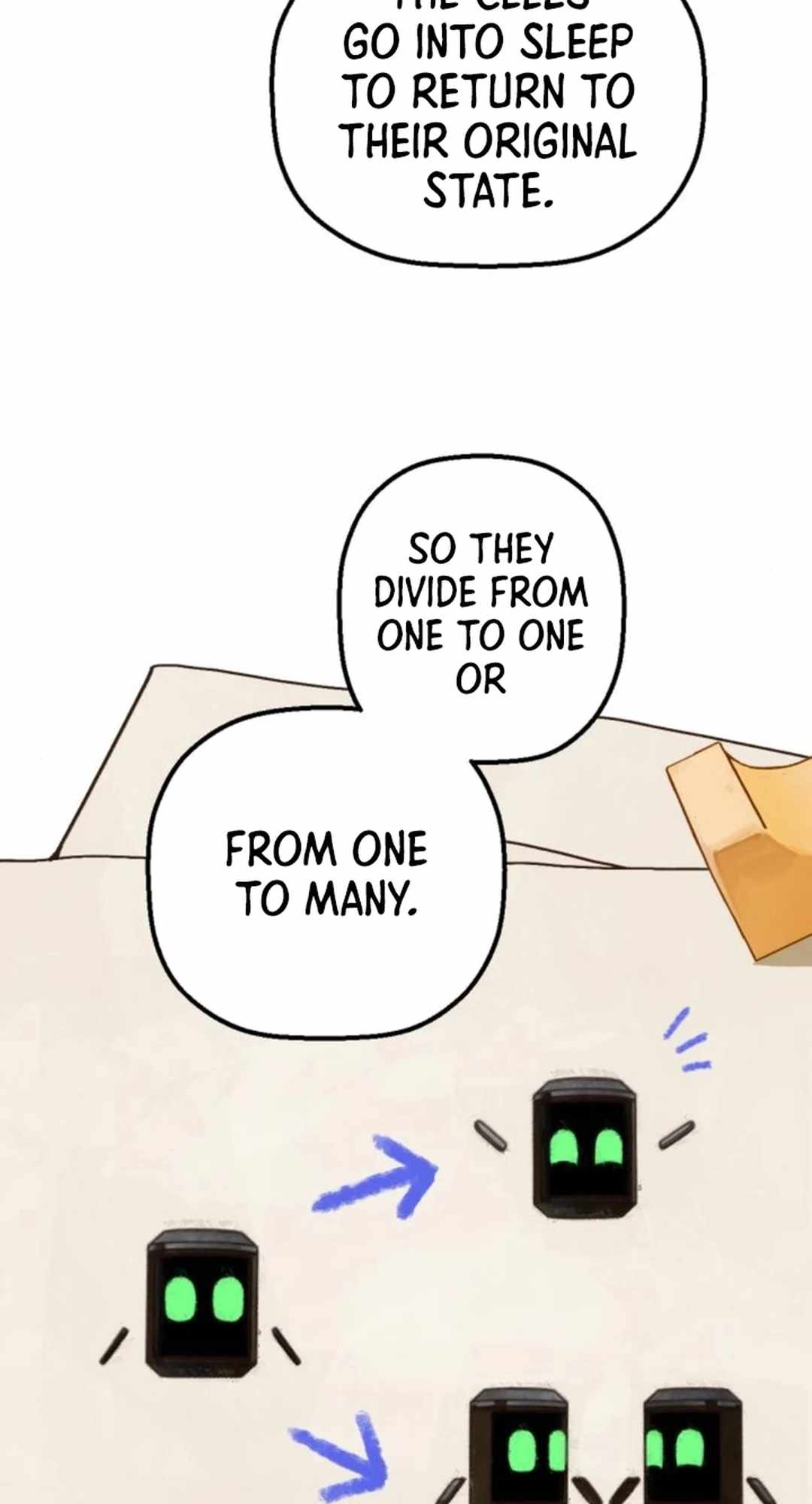 48