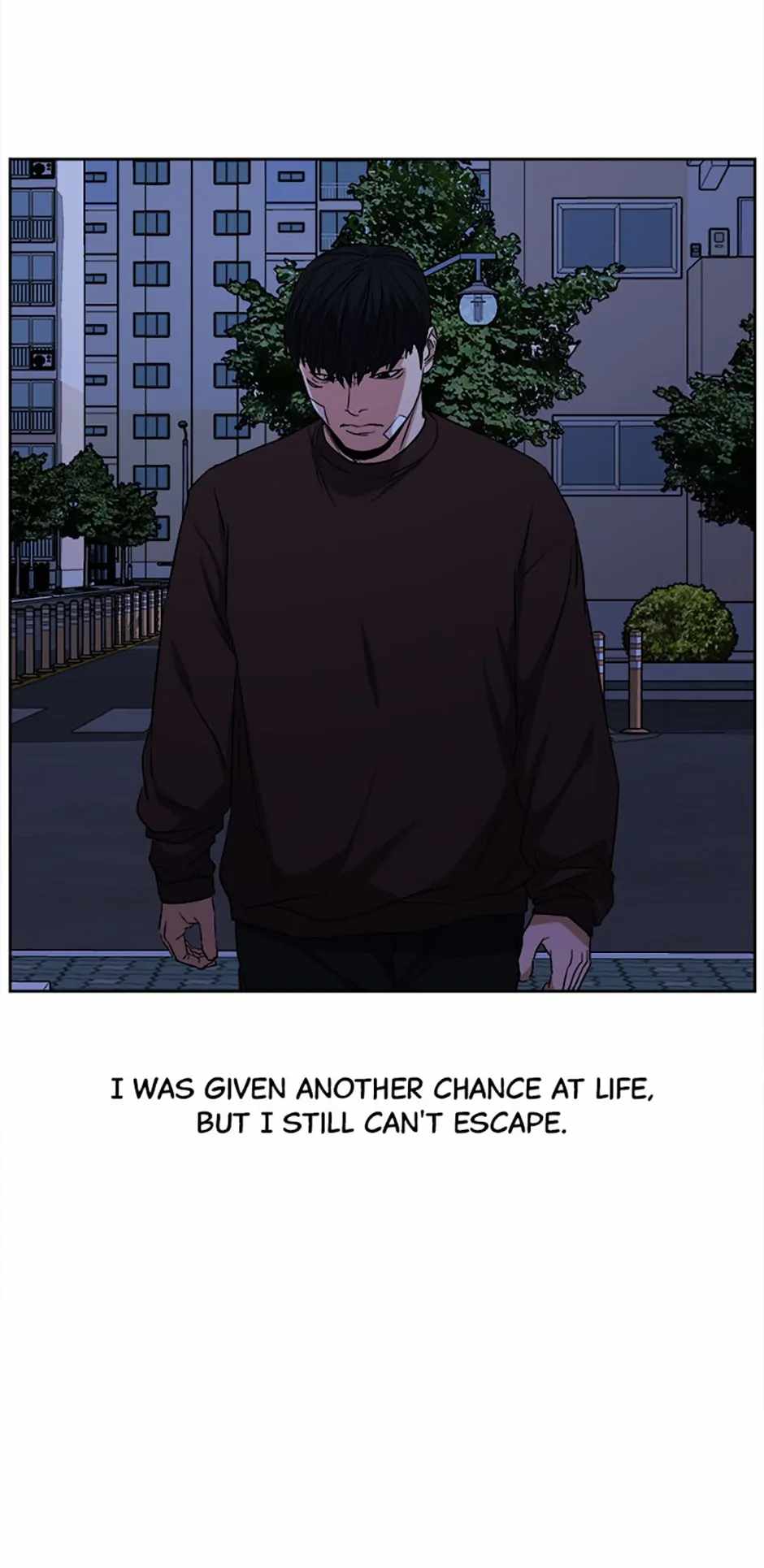 66
