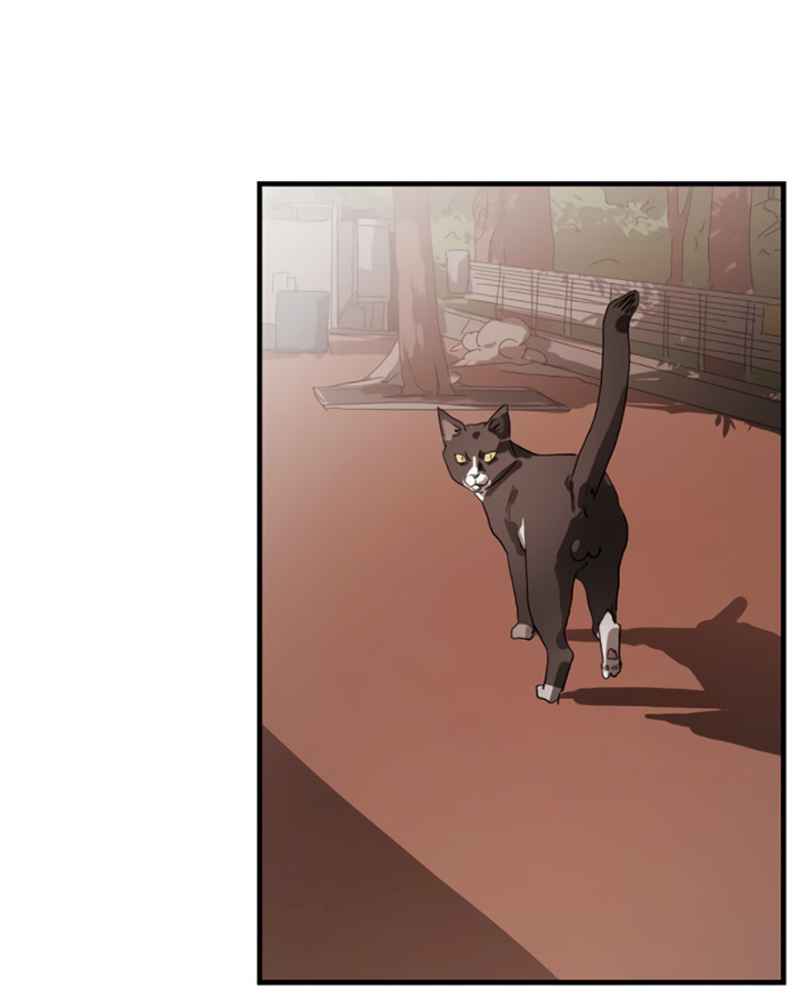 110