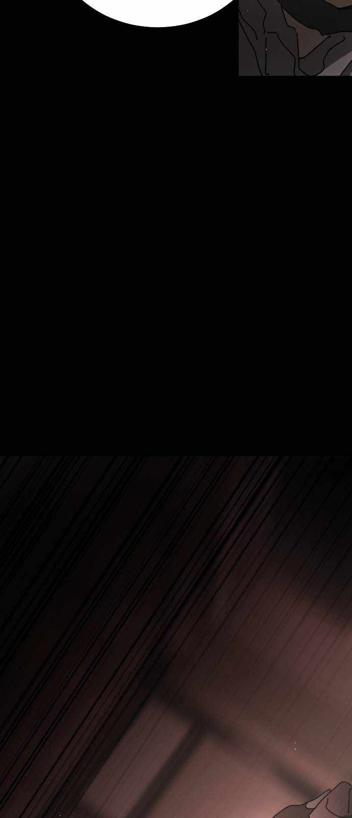 81