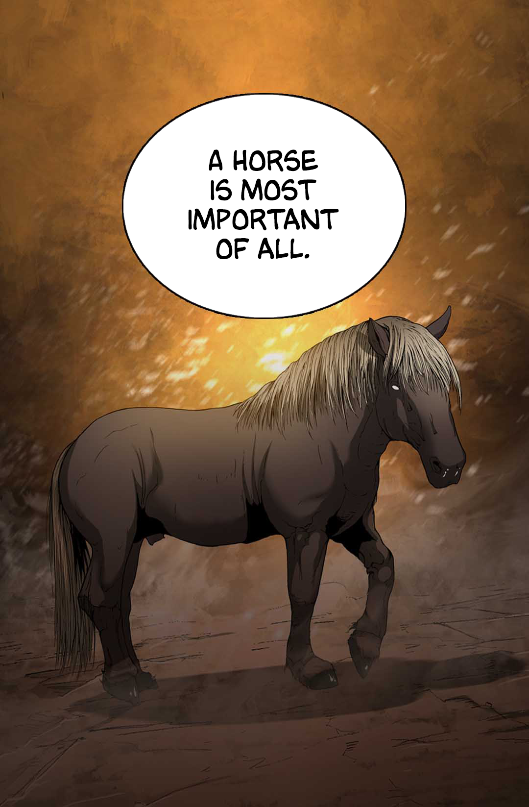 43