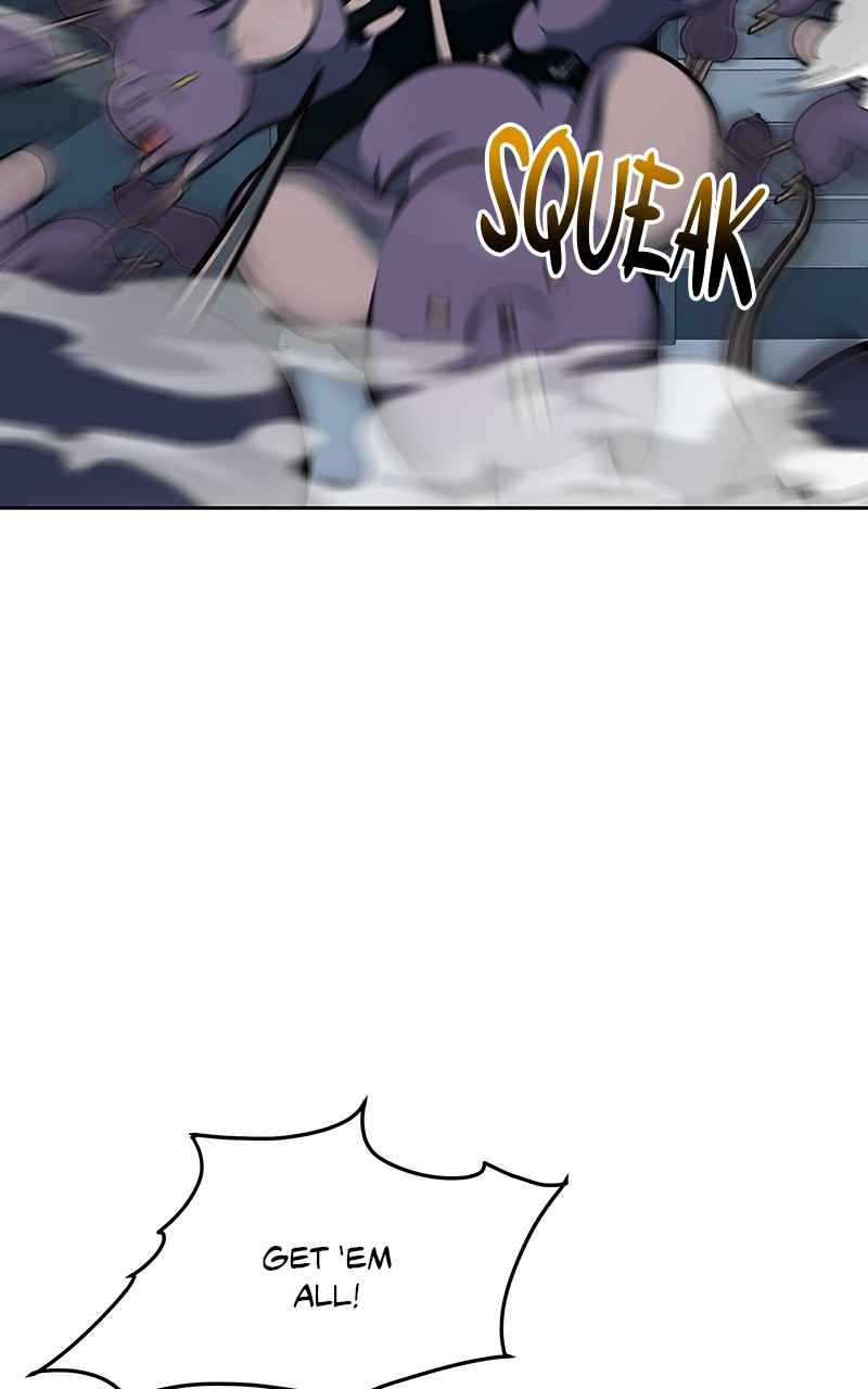 81