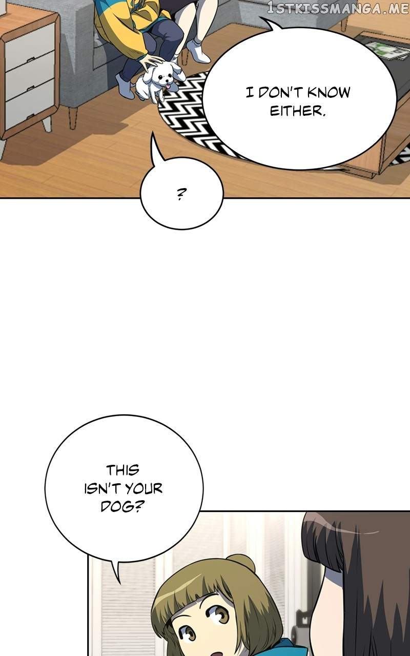 55