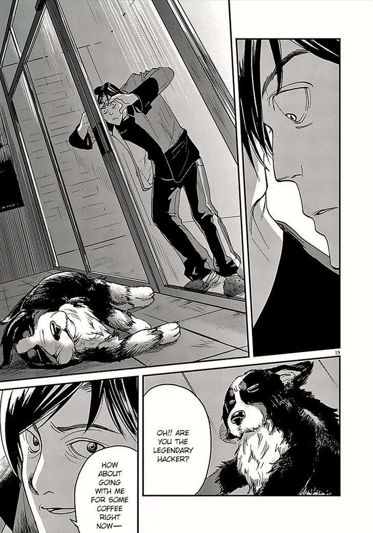 19