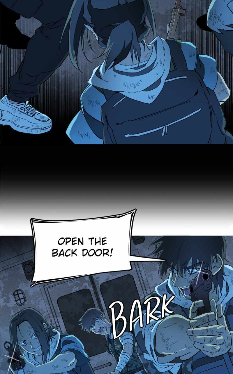 41