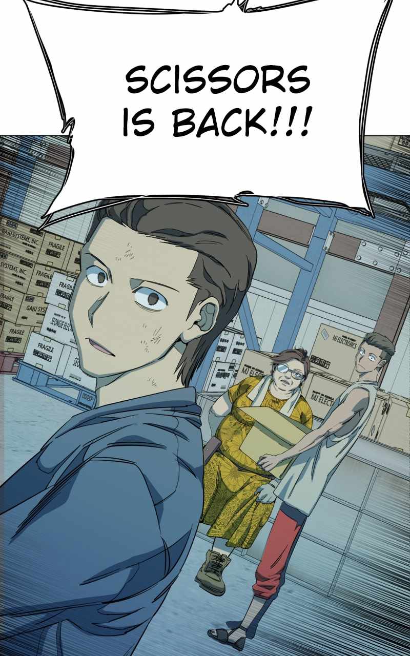 81