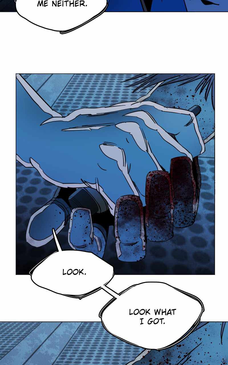 81