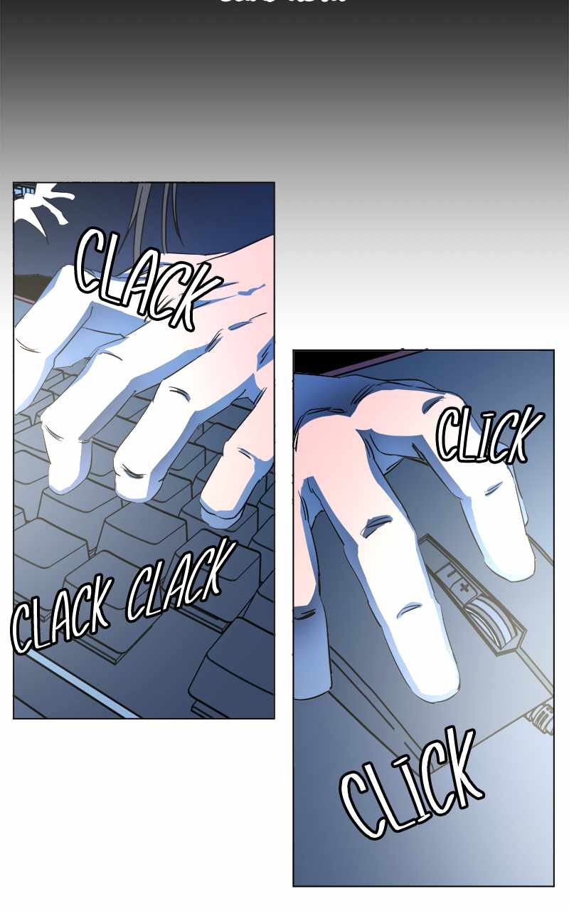 81