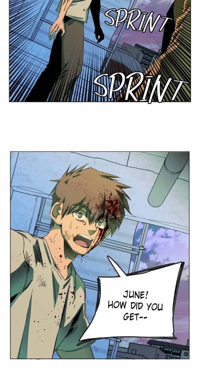 41