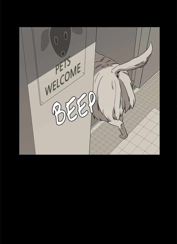 64