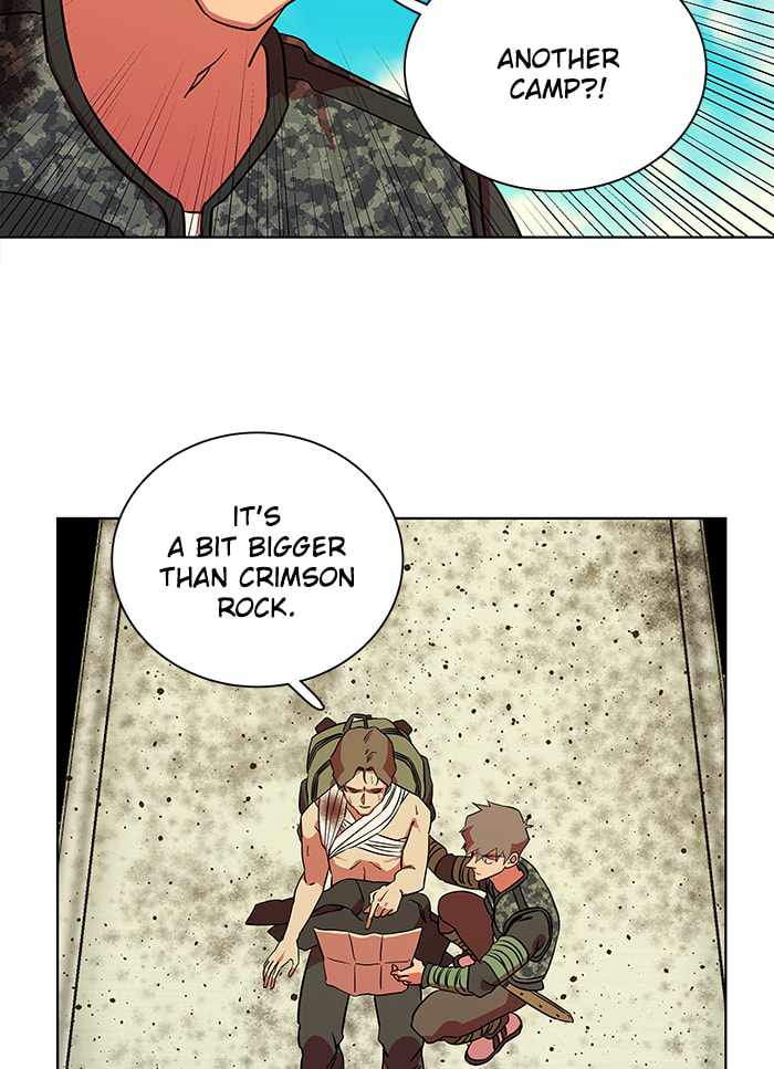 81