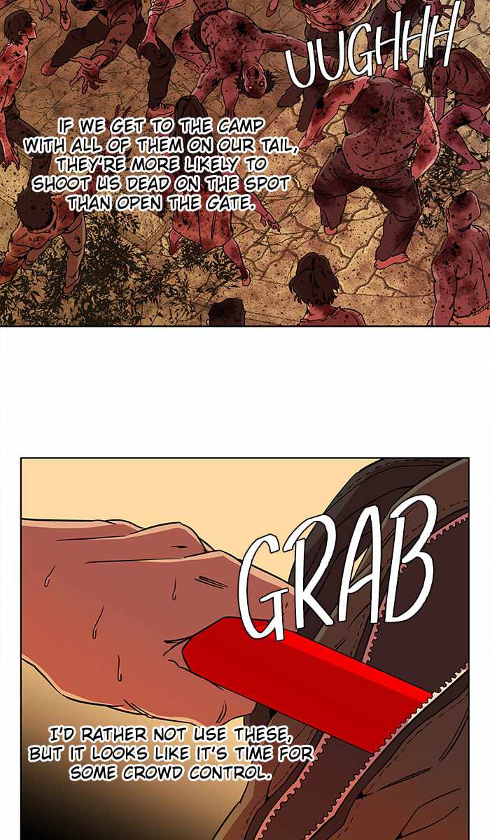 43