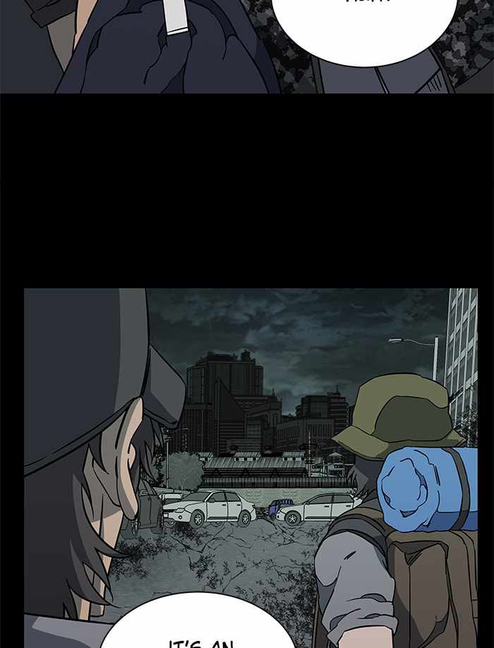 66