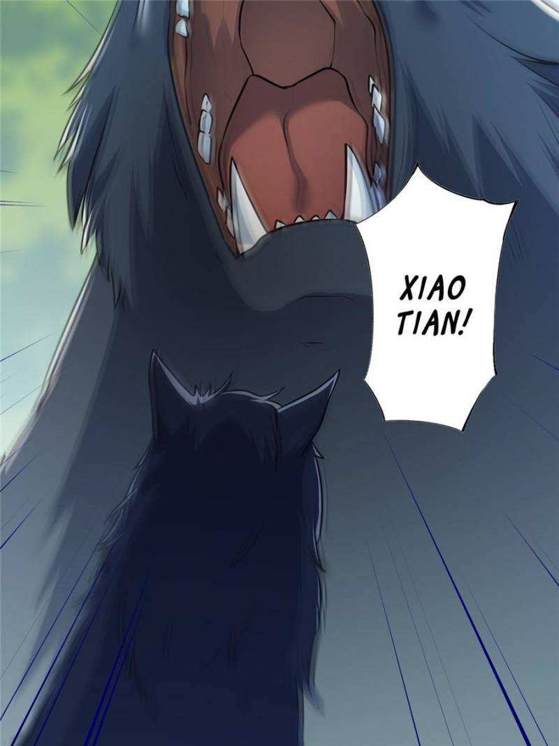 46