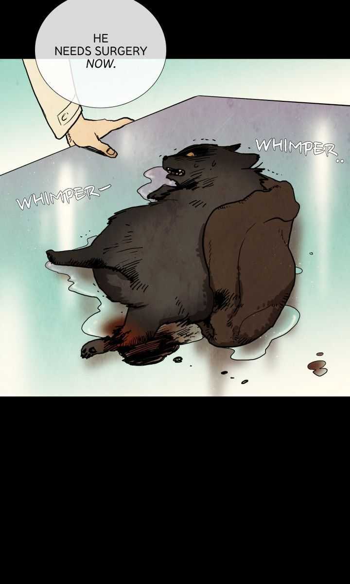 40
