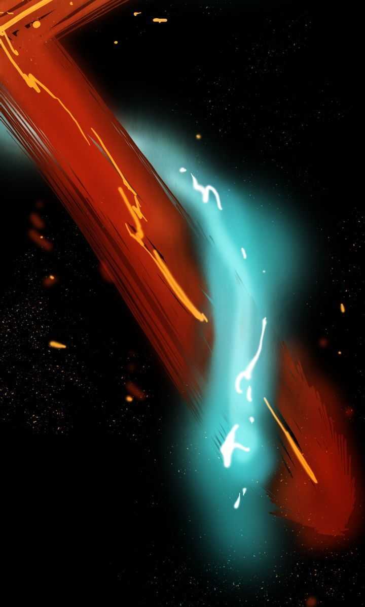 81