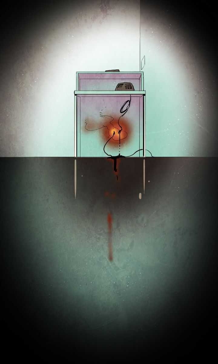 81