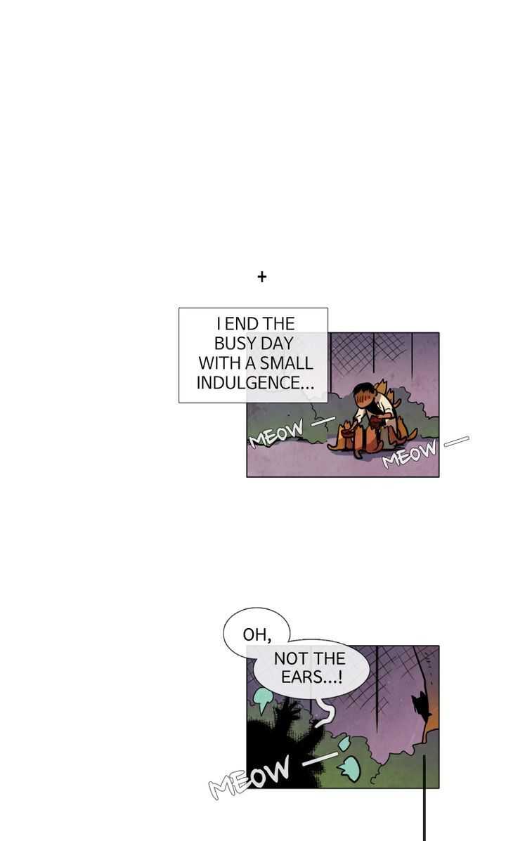 54