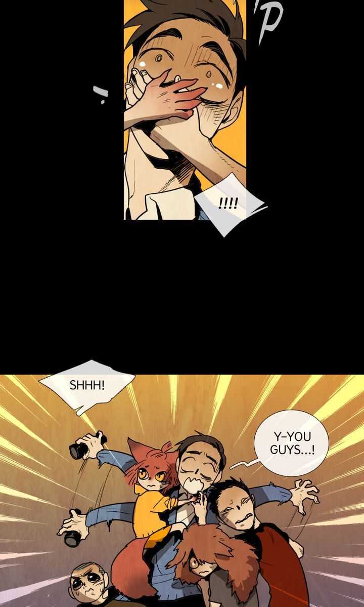 43