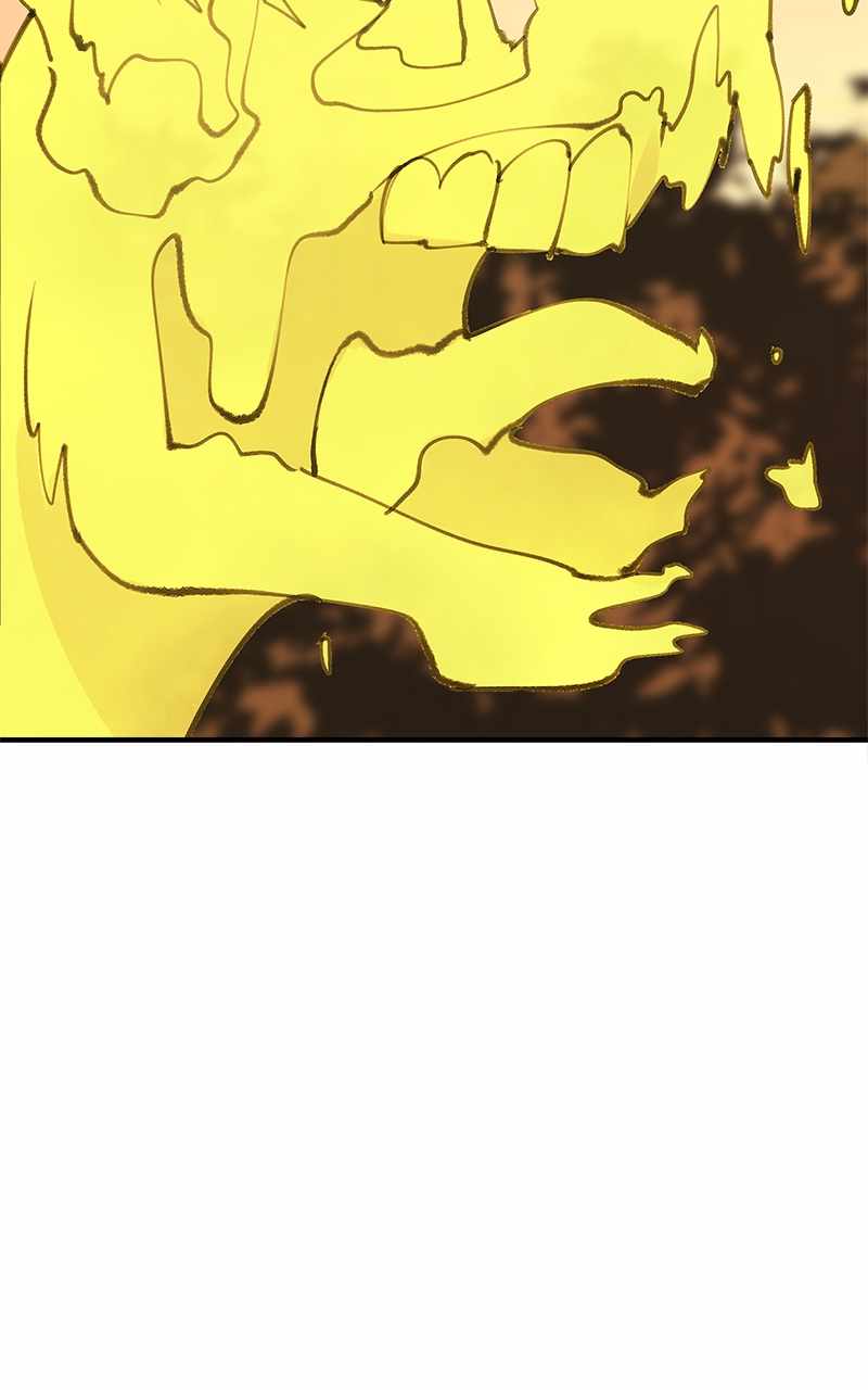 81