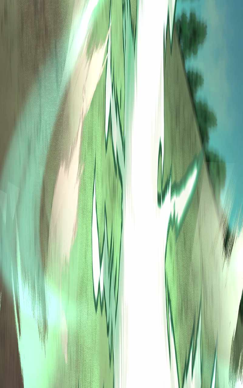 81
